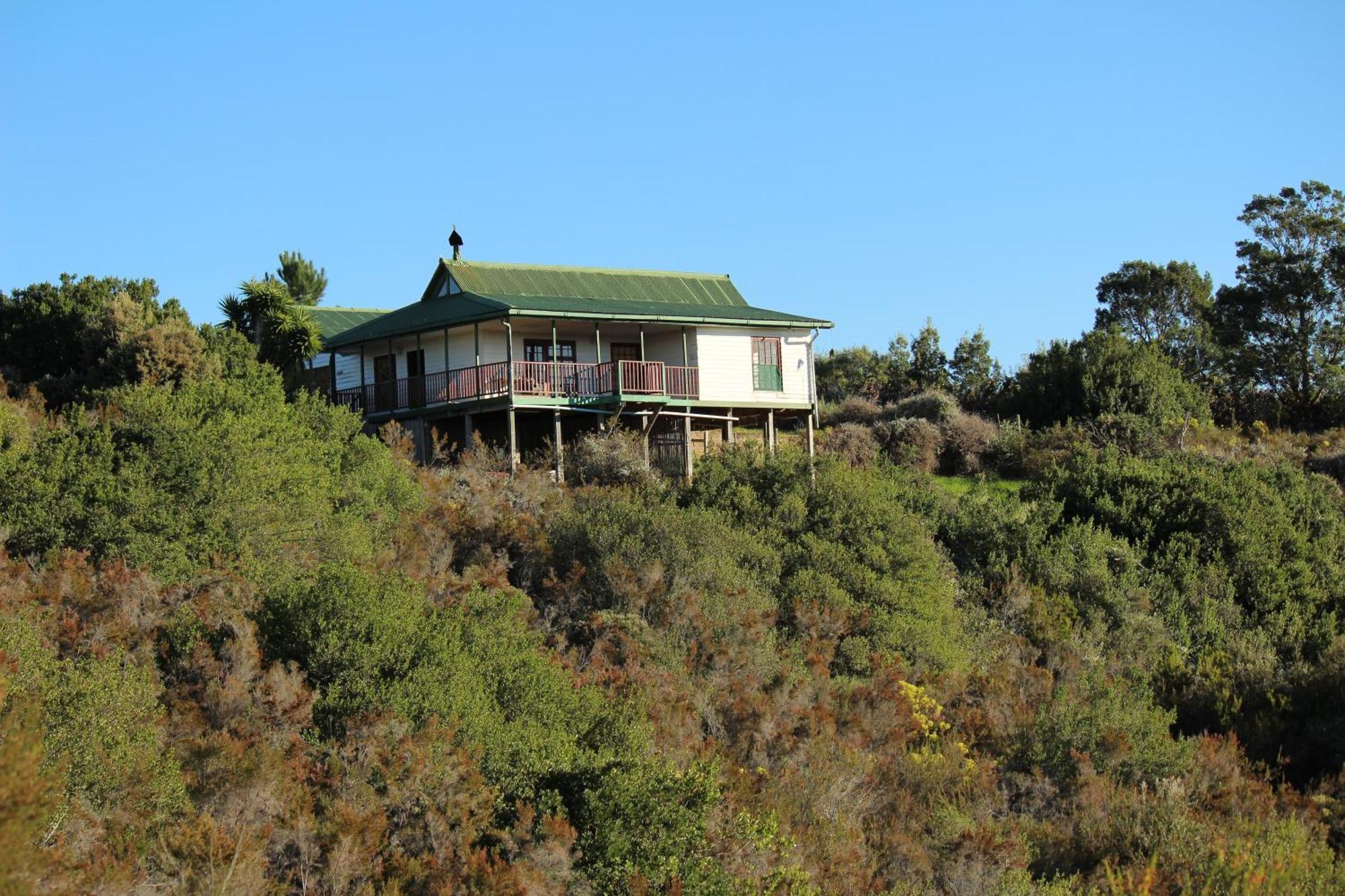 Hotel Protea Wilds Retreat Harkerville Exterior foto